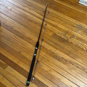 Premium Black and Silver Fishing Rod